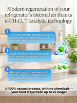 Load image into Gallery viewer, Purenova® Fridge Purifier
